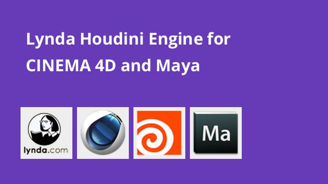 cant type in houdini engine maya