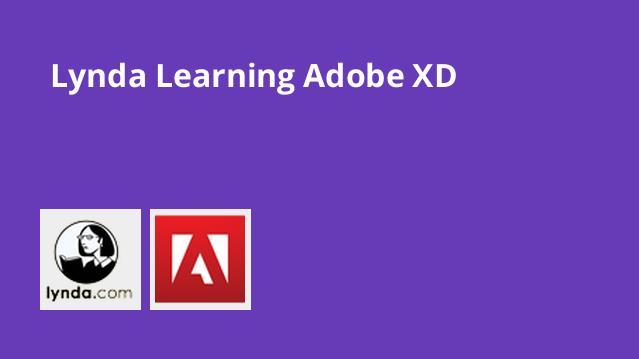 learn adobe xd