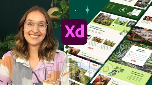 شروع کار با Adobe Xd - ساخت نمونههای اولیه وبسایت تعاملی