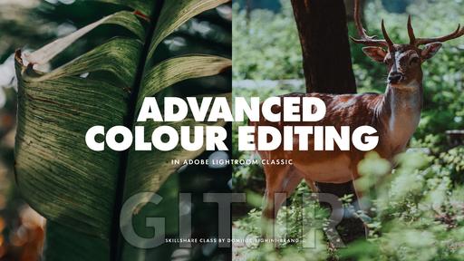 آموزش Adobe Lightroom Classic - گردش‌کار پیشرفته و نکاتی برای بهبود ویرایش رنگی‌