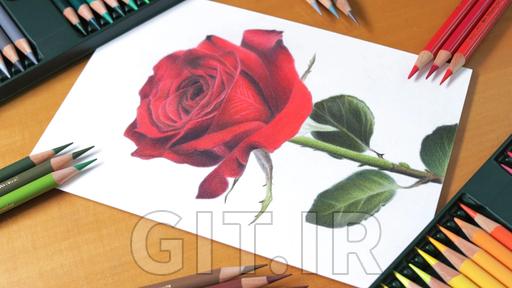 نحوه ترسیم گلها با مدادهای رنگی