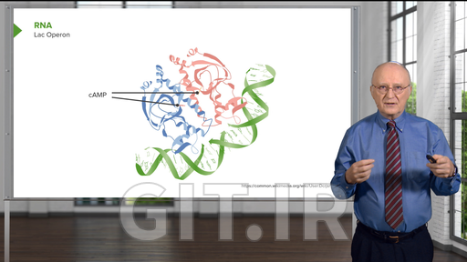 کنترل متابولیک