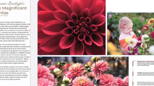 آموزش اصولی InDesign 2020
