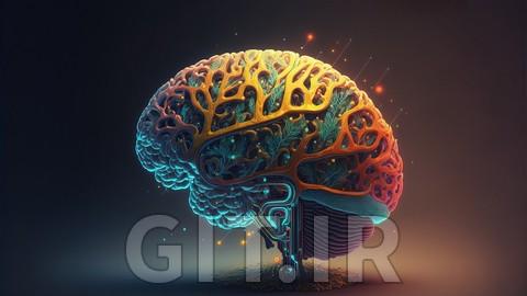 ضریب هوشی (IQ) خود را با کمک یک عضو رسمی Mensa ارتقا دهید