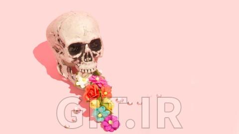 آناتومی پایه برای مربیان پیلاتس