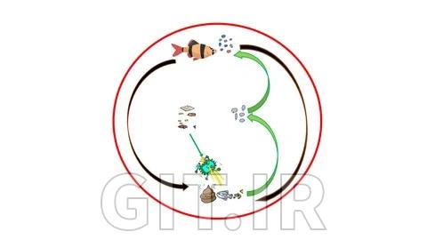 سیستم آبزی‌پروری بیوفلاک - مقدماتی