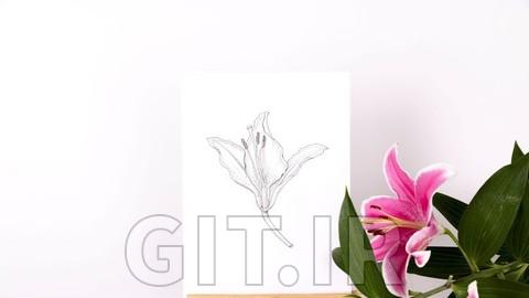 ترسیم گیاهشناسی با قلم و مرکب - دوره آنلاین کیو