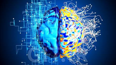 گواهینامه Certified NLP Practitioner