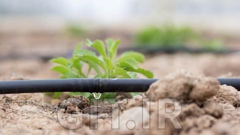 طراحی و نصب آبیاری قطره‌ای برای مبتدیان