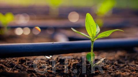 سیستم آبیاری قطره‌ای - طراحی، نصب و نگهداری