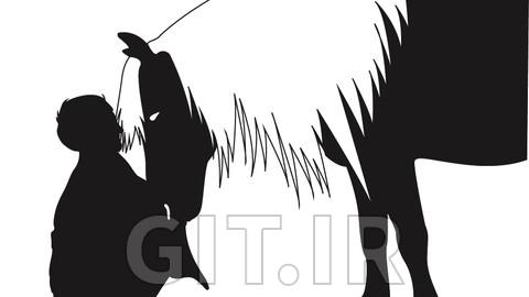 دوره اصول اسب سواری احساسی