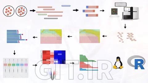 دوره فشرده و عملی تحلیل RNA-Seq: از FASTQ تا DEGs