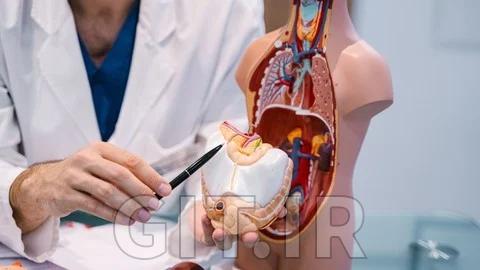 فیزیولوژی انسان برای کدگذاری پزشکی، صورتحساب و مراقبت‌های بهداشتی