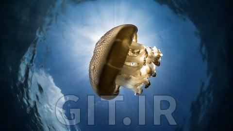 یادگیری ماشین کاربردی در معاملات سهام و ارز دیجیتال با پایتون یادگیری ماشین کاربردی در معاملات سهام و ارز دیجیتال با پایتون