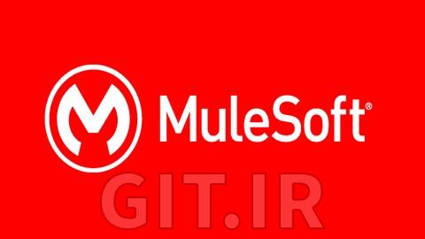 آمادگی برای مصاحبه MULESOFT