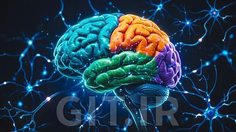 نوروآناتومی در 60 دقیقه: مرور سریع برای آزمونهای پزشکی نوروآناتومی در 60 دقیقه: مرور سریع برای آزمونهای پزشکی