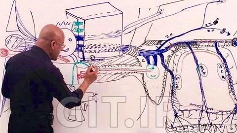 تسلط به علوم اعصاب و نوروآناتومی تسلط به علوم اعصاب و نوروآناتومی
