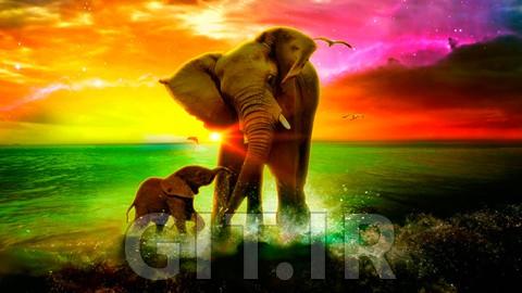 مدیریت پایگاه داده PostgreSQL در ویندوز و لینوکس - بخش 1