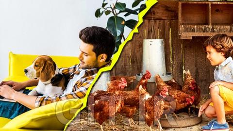 مسترکورس مدیریت طیور و حیوانات خانگی