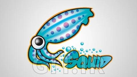 سرور پروکسی Squid در لینوکس: مرور ناشناس و فیلترگذاری
