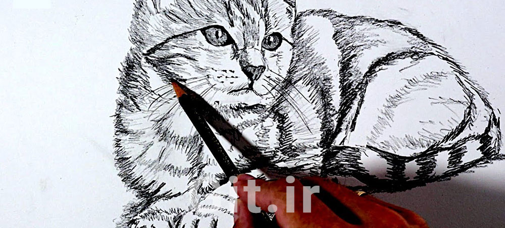 آموزش مرحله‌به‌مرحله طراحی گربه واقعی